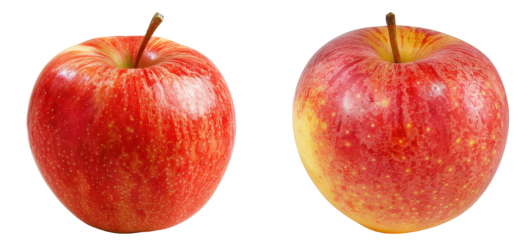 Gourmet apple snack isolated on transparent background