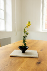 Minimalistic interior style. Yellow flower in a glass black asian vase standing on a wooden table with, stock photo