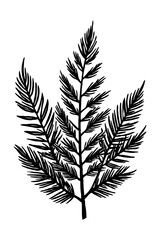 Naklejka premium Leaves . Black and white botanical pattern. For use in graphics, materials. Abstract plant shapes. Minimalist illustration for printing on wall decorations.