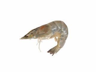 Fresh raw shrimp isolated on white background. Raw prawn. Sea food concept