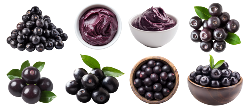 Acai Açaí berry berries fruit, many angles view top front heap pile bowl puree brazilian acai isolated on transparent background cutout, PNG file. Mockup template for artwork graphic design