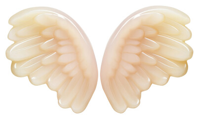 PNG Angel wings accessories medication accessory.