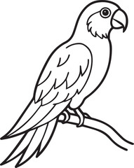 set of black and white birds and parrot 