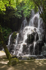 Fototapeta premium A photo taken from a waterfall at a local resort.