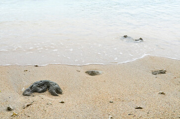 A photo taken on a sunny day at the beach.