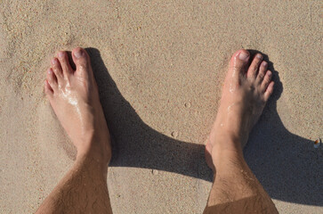 A photo taken on a sunny day at the beach.