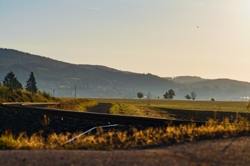 Morning walk in the homeland 