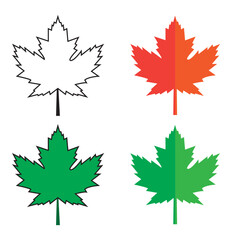 maple leaves icon collection isolated on transparent background. vector illustration