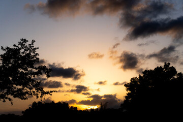 Fototapeta premium Underexposed sunset on a Tree-line, sky view