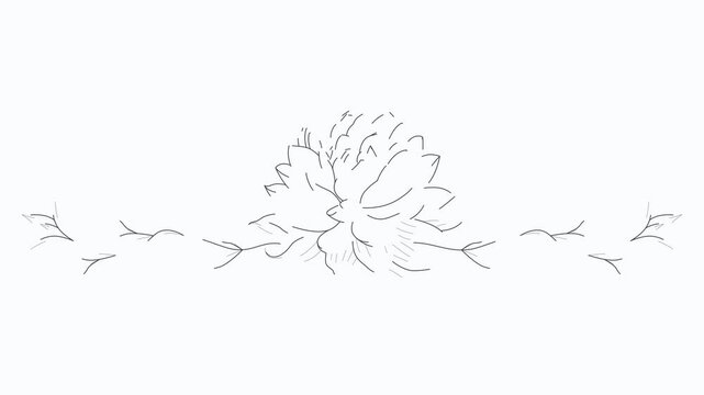 Animation of lotus line art style