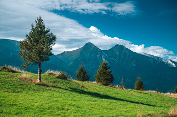Green meadow and mountains. Beautiful Nature in Slovakia, High Tatras. Bachledova dolina © kovop58