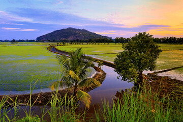The beauty of Sam mountain fields in Chau Doc, Vietnam