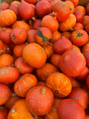 Orange pumpkins at outdoor farmer market