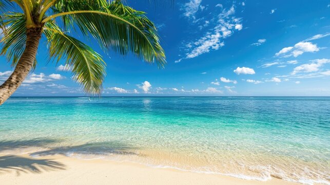 Tropical beach view with palm tree, crystal clear water, and blue sky.