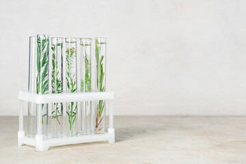 Different test tubes with herbs and plants in holder on grunge white background