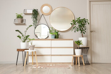 Interior of light room with mirrors, commode and plants