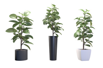 Plant with green leaves in ceramic pot. 3D rendering image.