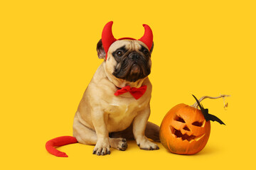 Cute French bulldog in devil horns with Halloween pumpkin and paper bat sitting on yellow background