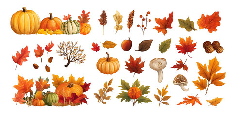 Obraz premium Autumn stickers set of colorful pumpkins, fallen leaves, branches, mushrooms and berries elements. Clipart fall illustration collection isolated on transparent background. PNG, cutout.