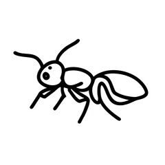 Ant