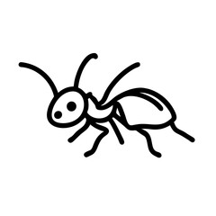 Ant