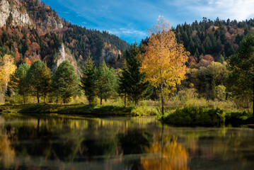 Obraz premium autumn in the mountains
