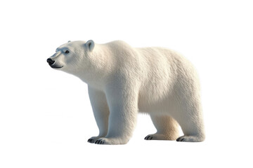 Fototapeta premium Polar bear standing, transparent background