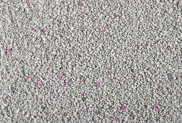 Cat litter filler pile background and texture, top view