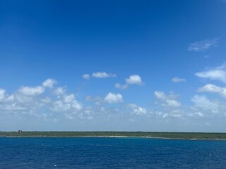 Fototapeta premium Tropical beach coastline with palm trees and clear turquoise water under a sunny blue sky, perfect for vacation, travel, and paradise-themed nature and landscape photography