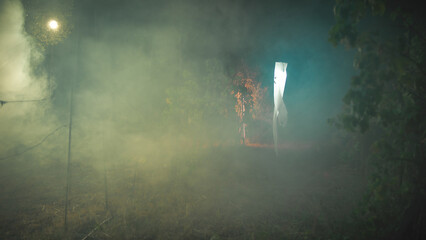 Ghost Specter Flight In Night Halloween Forest