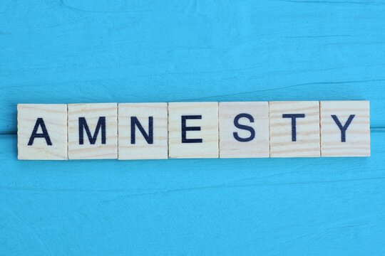word amnesty made from wooden gray letters lies on a blue background