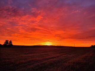 beautiful, bright, red, sunset on a late autumn evening against the backdrop of a mown field in the...