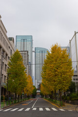 odaiba street and yellow trees