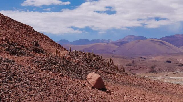Vista a&eacute;rea do Vale dos Cactos no Deserto do atacama - Chile