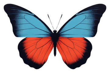 Obraz premium PNG Butterfly animal insect white background.