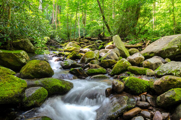 Landscapes of The Great Smoky Mountains 