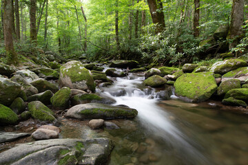 Landscapes of The Great Smoky Mountains 