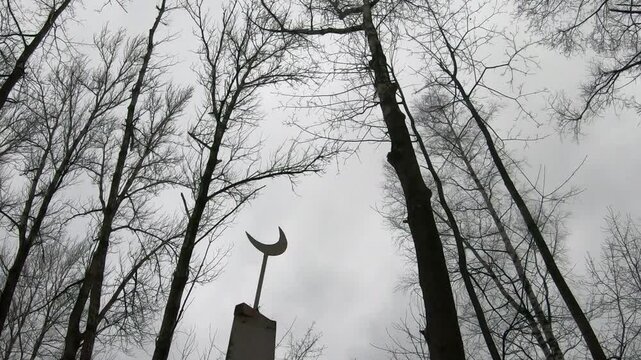 Bare trees and crescent moon symbol in winter sky, wind shakes the branches of trees
