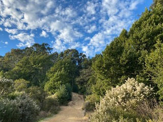 Obraz premium Hiking in the mountains in Contra Costa County.