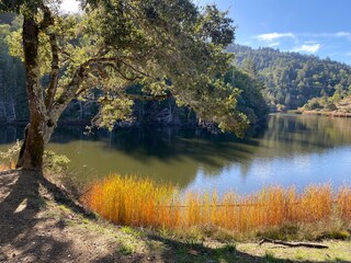 Lake in autumn. The scenery is very beautiful in Contra Costa County.