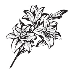 emblem of lily bud for flower shop isolated on white background