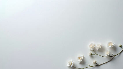 White Flowers on White Background with Negative Space