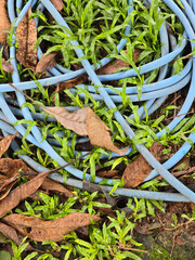 blue rubber band on stone floor