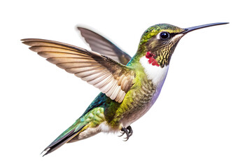 Flaying hummingbird Bird white background. AI GENERATED