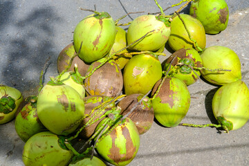 green coconut, coconuts on the ground, young coconut water is a liquid found in young coconuts, which has a sweet, fresh, and clear taste. Young coconut water seller on the side of the road.