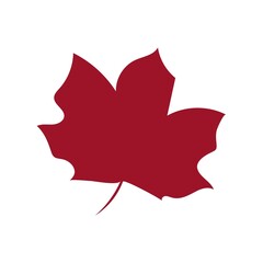 Leaf clip art design on plain white transparent isolated background for card, shirt, hoodie, sweatshirt, apparel, tag, mug, icon, poster or badge