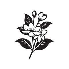 Vector Jasmine Flower Illustration - A Beautiful and Detailed Botanical Illustration of a Jasmine Flower, Ideal for Use in Nature-themed Designs, Logos, Branding, or Floral Art Projects.
