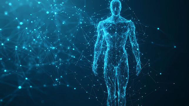 Human body science low poly wireframe technology on blue background. Low Poly Art. Illustration