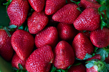 Sweet, juicy, and oh-so-fresh! These strawberries are pure summer bliss