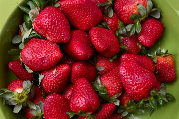 Sweet, juicy, and oh-so-fresh! These strawberries are pure summer bliss